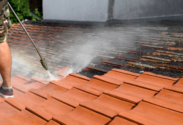 Best Residential Pressure Washing Services  in Lawrencevle, IL